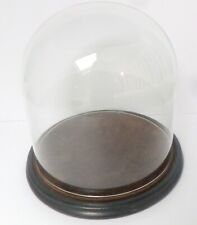 Antique glass dome for sale  BIDEFORD