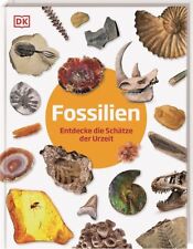 Fossilien gebraucht kaufen  Berlin