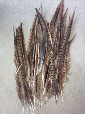 Pheasant feathers crafting for sale  LUDLOW