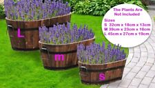 wooden garden barrels for sale  SCUNTHORPE