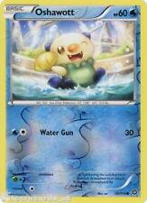 Oshawott 30/114 :: Steam Siege ::  Reverse Holo Mint Pokemon Card, used for sale  Shipping to South Africa
