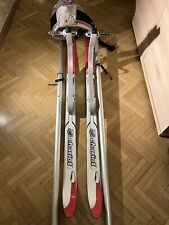 Chariot skiset fahrradanhänge gebraucht kaufen  Leipzig