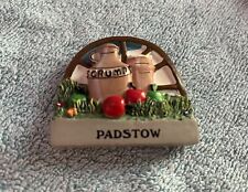 Padstow fridge magnet for sale  HYDE