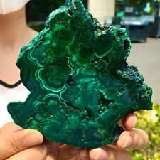378G  Natural glossy Malachite transparent cluster rough mineral sample N234 for sale  Shipping to Canada