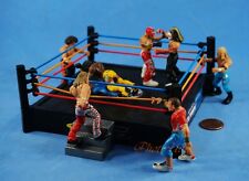 Conjunto de 5 bonecos de luta livre WWE MICRO AGGRESSION Jakks topo de bolo diorama K1041x5 comprar usado  Enviando para Brazil