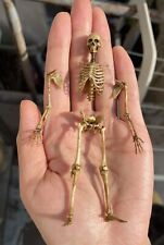 Skeleton skeleton model for sale  Shipping to Ireland