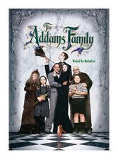 Addams family 1991 for sale  Leicester