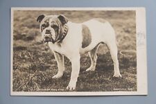 Postcard english bulldog for sale  SHEFFIELD