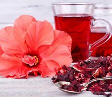 Hibiscus herbal tea for sale  LEICESTER