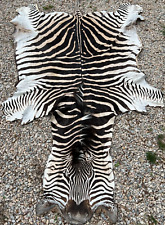 Real zebra hide for sale  Montgomery