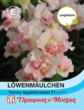 Używany, Lwiak 'Twinny Appleblossom' F1 - Antirrhinum majus, nasiona, 03803 na sprzedaż  Wysyłka do Poland