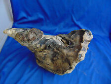 Drift wood reptile for sale  Deale