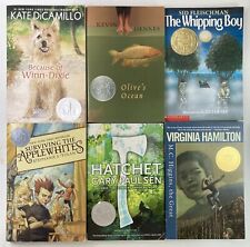 Lote de 10 libros ganadores del premio Newbery capítulo 3er-8vo conjunto de aula escuela en el hogar segunda mano  Embacar hacia Argentina