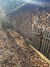 Brennholz kaminholz stammholz gebraucht kaufen  Münsing
