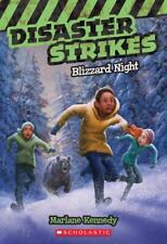 Blizzard night disaster for sale  Interlochen