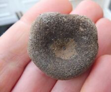 Ichthyosaur vertebra daventry for sale  BURGESS HILL