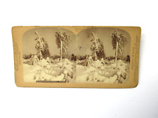 Niagara Falls Frozen Trees Luna Island Scenery Stereoview c1880 Albumen comprar usado  Enviando para Brazil