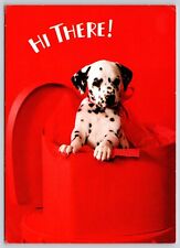 Postcard dalmatian puppy for sale  Wynantskill