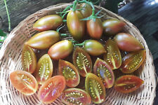 Graines tomate lucky d'occasion  Poisy