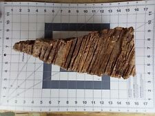 Used, Stromatolite Fossil Arizona for sale  Shipping to South Africa