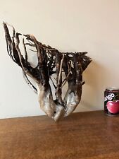 Driftwood piece windswept for sale  Shipping to Ireland