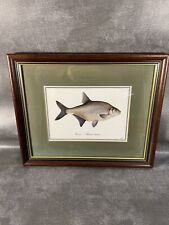 Framed print bream. for sale  Shipping to Ireland