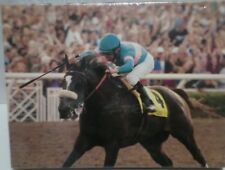 Breeders cup classic for sale  Inglewood