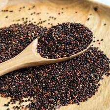 Quinua Negra 100 PIEZAS semillas frescas, quinua Chenopodium, semillas de quinua, reliquia segunda mano  Embacar hacia Argentina
