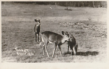 Vintage photo postcard for sale  Washington
