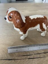 king charles spaniel for sale  PERRANPORTH