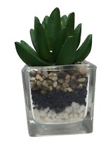 Mini succulent jar for sale  Perrysburg