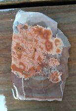 Dryhead agate slab for sale  La Farge