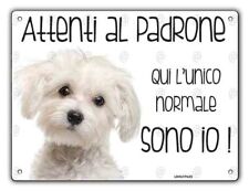 Cartello cane maltese usato  Vertemate Con Minoprio