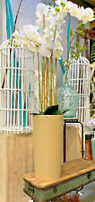 Pflanzkübel lamela vase gebraucht kaufen  Dierkow