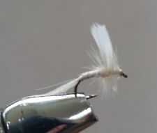 White moth trout for sale  Ireland