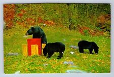 Vintage black bears for sale  Hudson