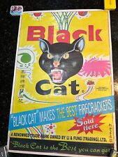 Vintage black cat for sale  Minneapolis