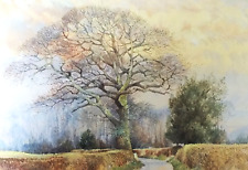 Oak holly tree for sale  NELSON