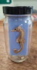 Seahorse skeleton jar for sale  WIGAN