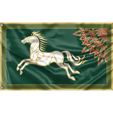 Bandiera cavallo rohan usato  Spedire a Italy