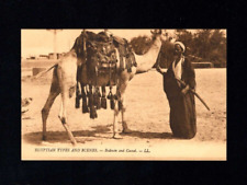 ägypten beduine kamel gebraucht kaufen  Stutensee