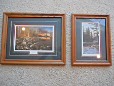 Framed pictures twilight for sale  Omaha