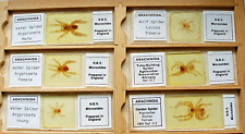 Set nbs entomology for sale  BOREHAMWOOD