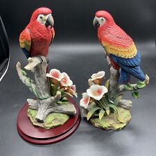 Scarlet macaw andrea for sale  Raeford