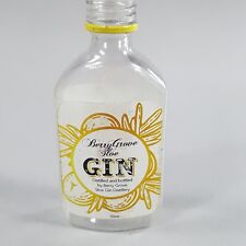 Usado, PREACHER - Mini garrafa de gin usada de produção Berry Grove da 4ª temporada - Certificado de autenticidade comprar usado  Enviando para Brazil