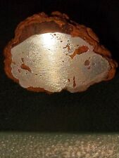 14.9g iron meteorite for sale  Mc Gregor