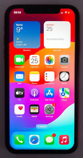 red 64 gb iphone 11 usato  Terracina