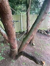 Tree step tree for sale  STAFFORD