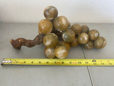 stone grapes for sale  Casselberry