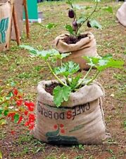 Large organic jute for sale  SKEGNESS